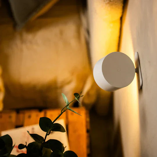 Nova™ Wall Light