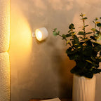 Nova™ Wall Light